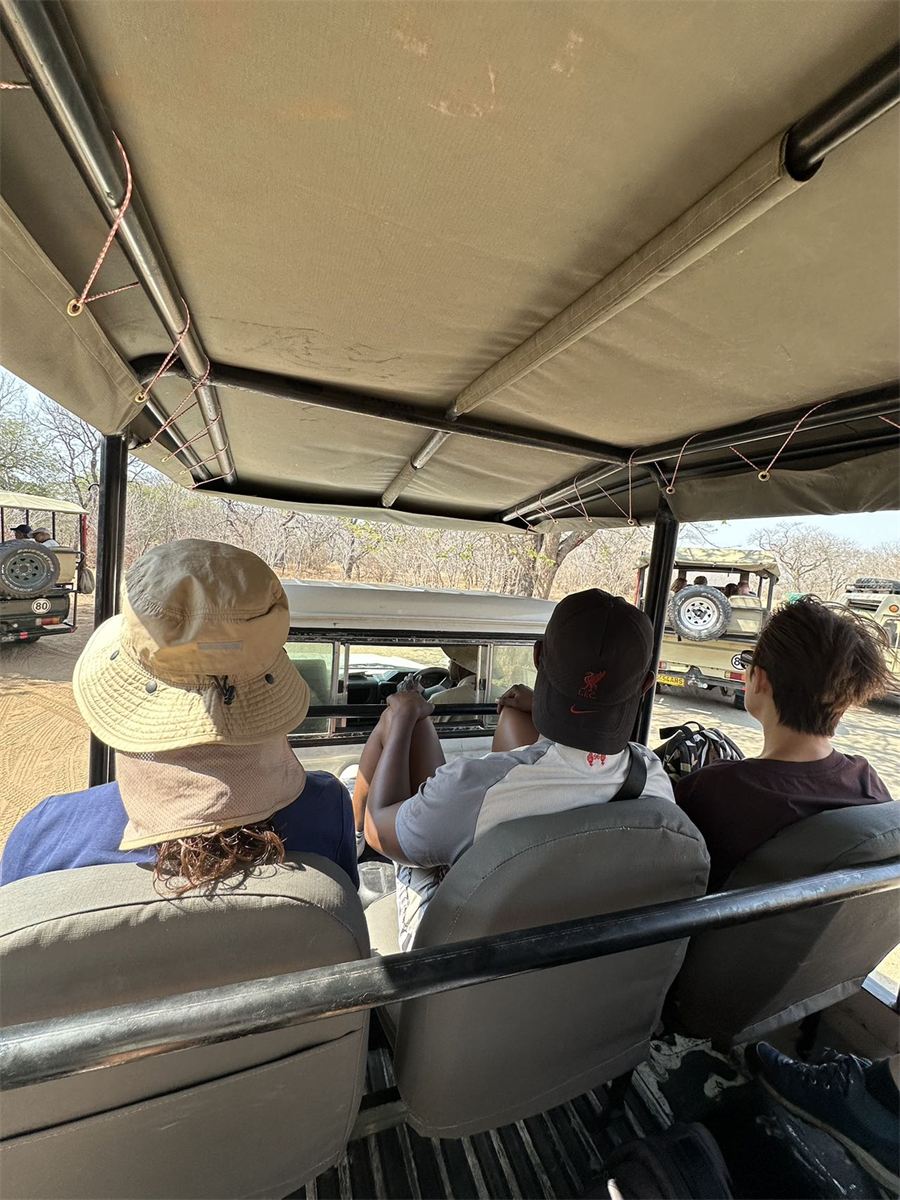 Visitors on a game drive in an open safari vehicle